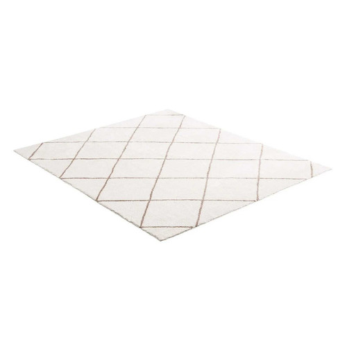 us JXDDTSSCR8X10TZKW001V0 original img v2 indoor plush area rug m100 9 1600x1600.jpg