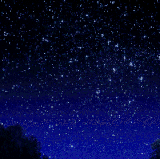 1000036395.gif