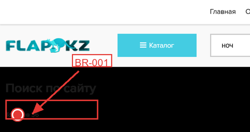 BR 001 TC 005 kolok ann.png