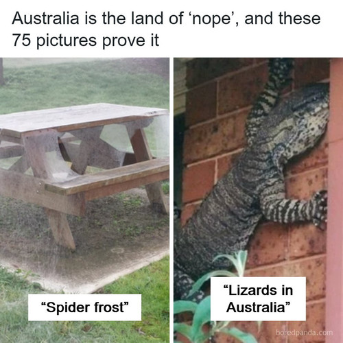 australia scary nature animals.jpg