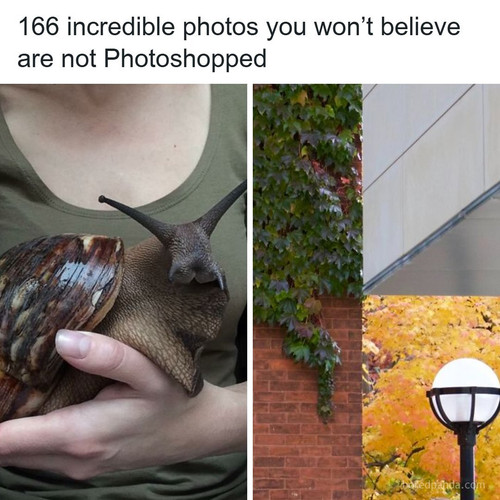unbelievable not photoshopped photos real.jpg