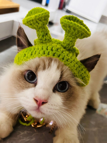 new 471.jpg