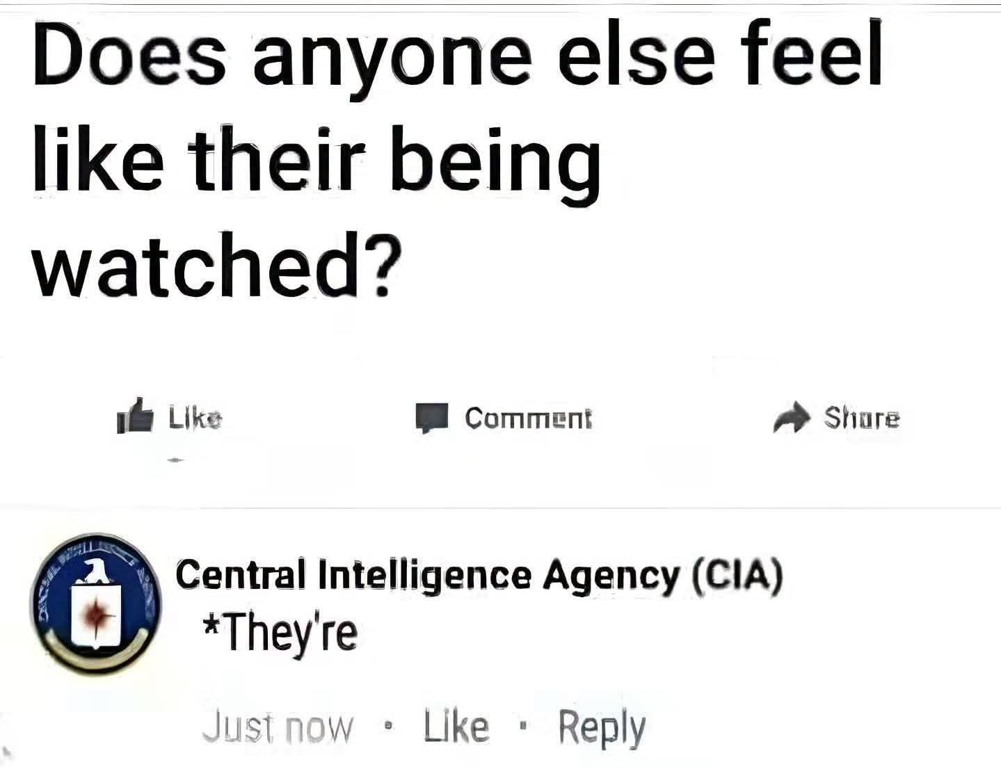 [Image: CNiak3N.jpg]