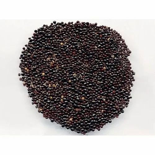 celosia seed 500x500.jpg