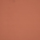 1298RN swatch