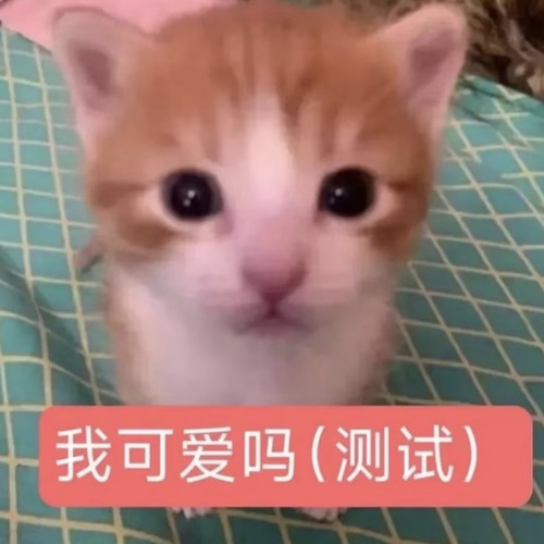 Screenshot 2026 04 05 16 43 37 747 com.xingin.xhs 1775379177674edit.jpg