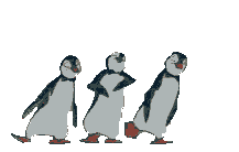 pinguine 0060.gif