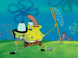 200 (2).gif
