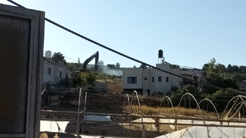 صورة الخبر