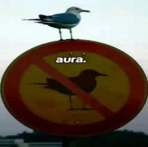 aura.jpg