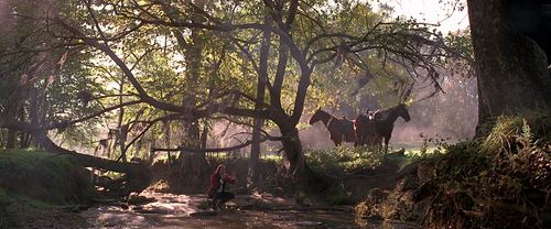 The.Patriot.2000.Extended.Cut.1080p.Blu ray.DTS HD MA 5.1.3Audio.PGS.x264 liangbin@beAst.mkv 2026072.png