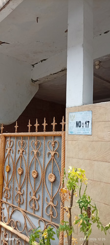 2249.jpg