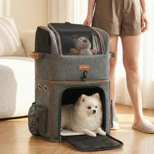 申报猫宝.jpg