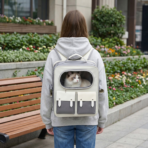 猫宝 (11).jpg