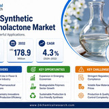 Synthetic Octanolactone Market (1)