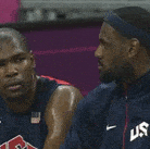 SolidNeighboringGermanshorthairedpointer max 1mb.gif