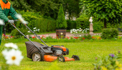 istockphoto 1419427334 612x612.jpg