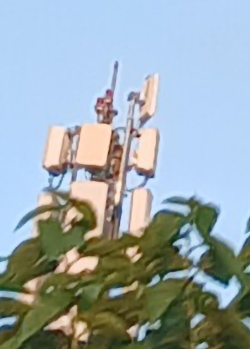 1000045643.jpg
