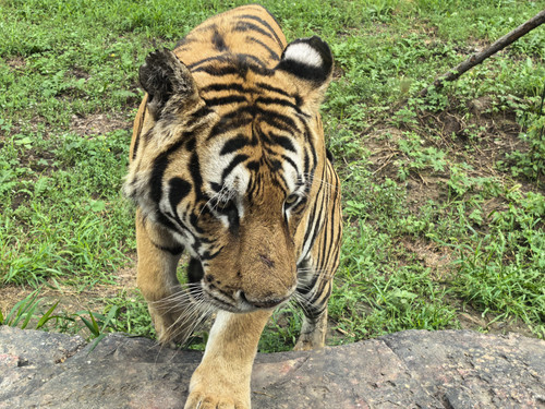 IMG 20260723 093113.jpg