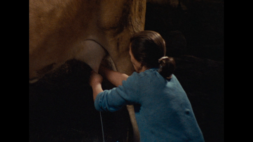 The.Movement.of.Things.AKA.O.Movimento.das.Coisas.1985.1080p.BluRay.REMUX.AVC.FLAC.1.0 iZZi 021.png