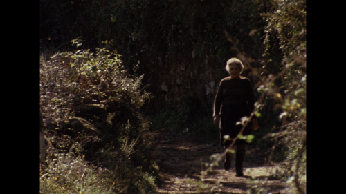 The.Movement.of.Things.AKA.O.Movimento.das.Coisas.1985.1080p.BluRay.REMUX.AVC.FLAC.1.0 iZZi 046.png