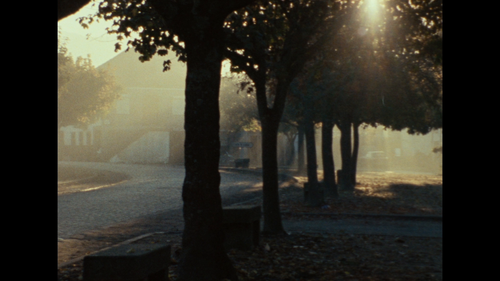 The.Movement.of.Things.AKA.O.Movimento.das.Coisas.1985.1080p.BluRay.REMUX.AVC.FLAC.1.0 iZZi 017.png