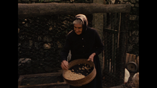 The.Movement.of.Things.AKA.O.Movimento.das.Coisas.1985.1080p.BluRay.REMUX.AVC.FLAC.1.0 iZZi 035.png