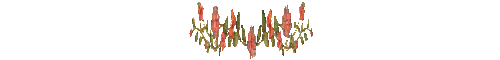IMG 1399.gif