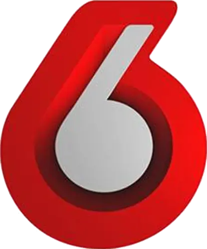 Canal 6 Telesur (Logo 2022).webp