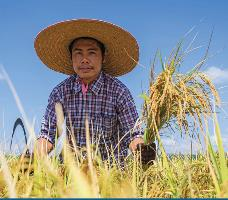 TiengAnh Cau5.1 Chef.png