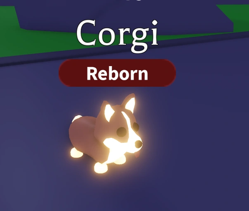 Corgi Neon .png