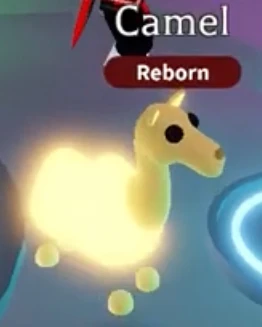 Camel Neon .png