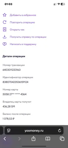 955.webp