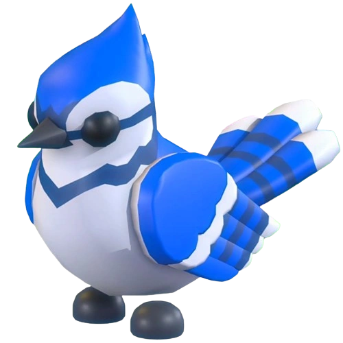 Blue Jay.png