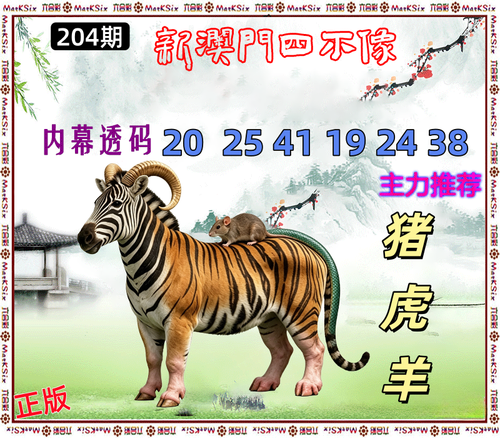 204.png