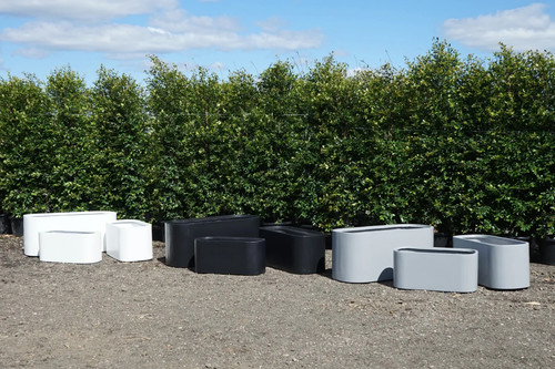 Buy Fibreclay Curved Trough Planters in Sydney – Pebble and Pot Co.jpg