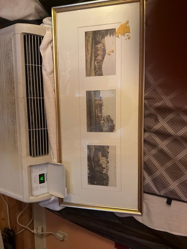 5edcf1aecc36.jpg