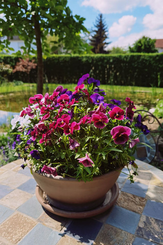 79f11d084f89.jpg