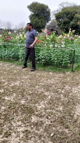 9e0f28aa36f9.jpg