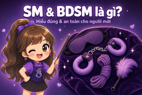 snapi sm hero.png
