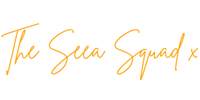 the seea squad x sorbet.png
