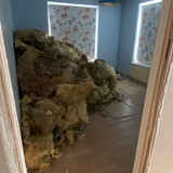 IMG 7235