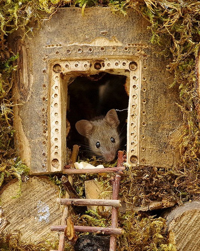 miniature mice family house simon dell 46.jpg