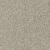 1150TP swatch