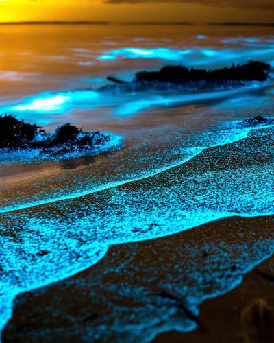 milky seas bioluminescence mystery bacteria 1m 1400x850.jpg