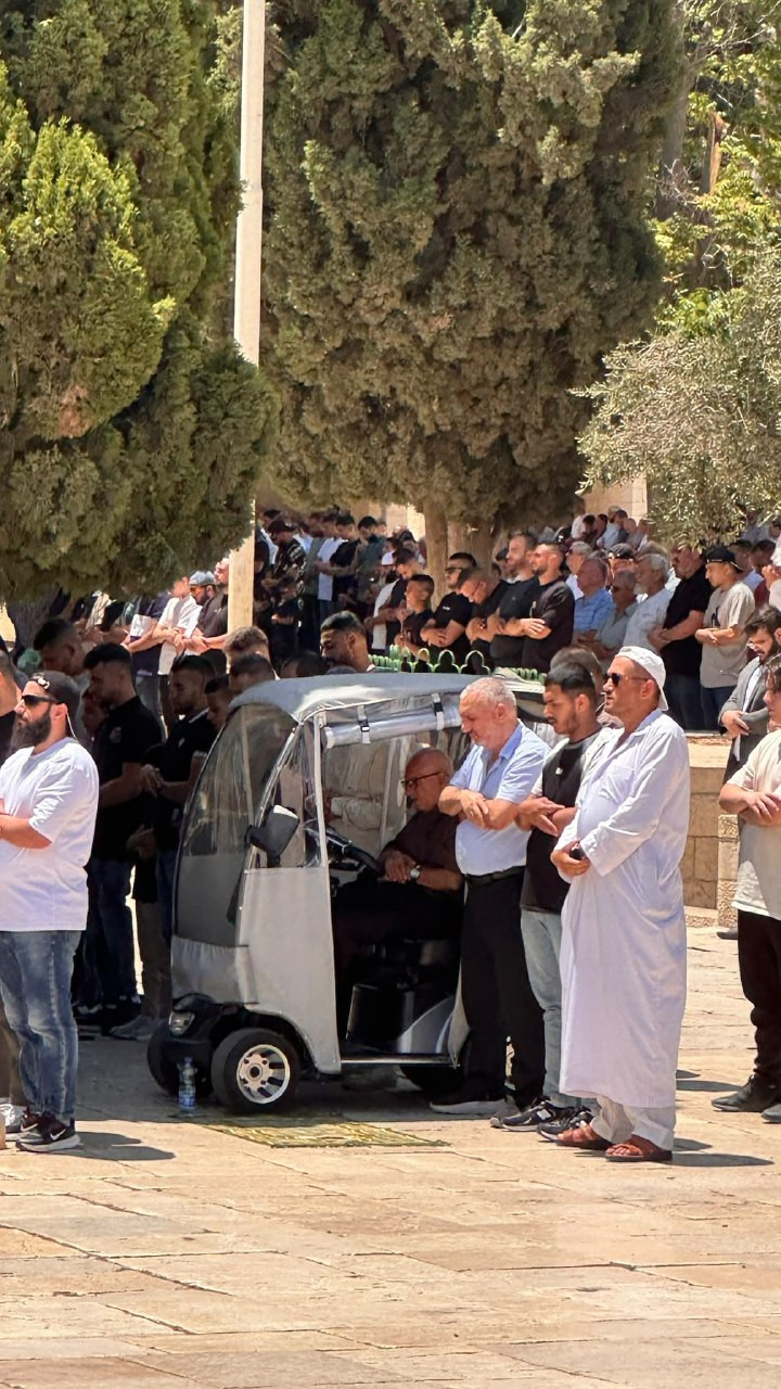 صورة الخبر
