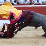CO75pig.th.jpg
