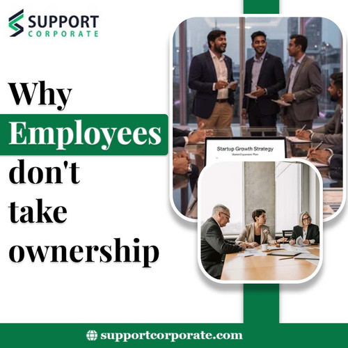 Why employees don't take ownership.jpg