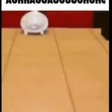 1000066060.png