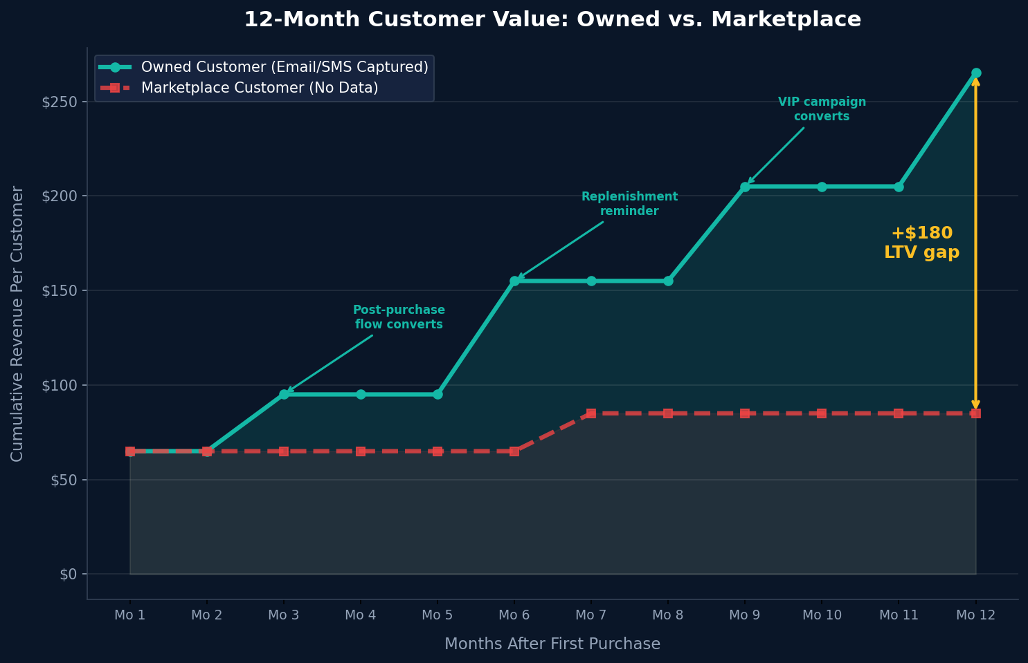 12-month customer value comparison - owned vs marketplace customer LTV gap
